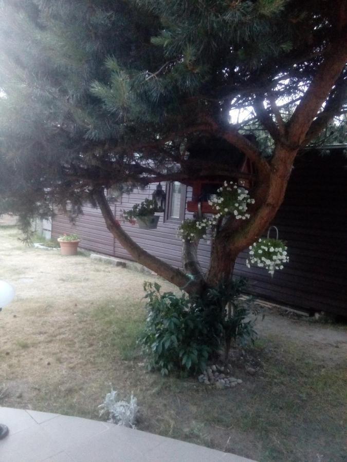 Chabrowa Perla Appartement Jarosławiec Buitenkant foto